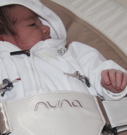 baby bouncer ‚LEAF‘ by nuna