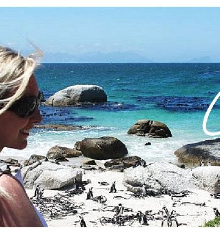 Throwback Thursday |  PINGUIN-Kolonie in Kapstadt