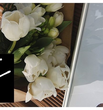 JUST ARRIVED | SEALOE POSTER