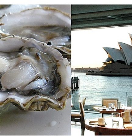 Throwback Thursday | Harbour Kitchen Bar Sydney