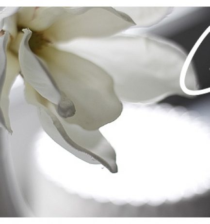 Wohlfühloase Badezimmer