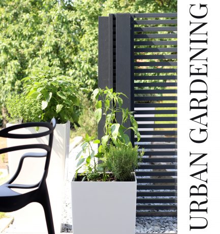 Grünes Glück | Urban Gardening