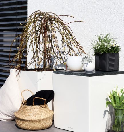 Frühlingspoesie im Freien