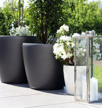 Aus Liebe zum Garten | Frühlingsblüher verschönern den Garten