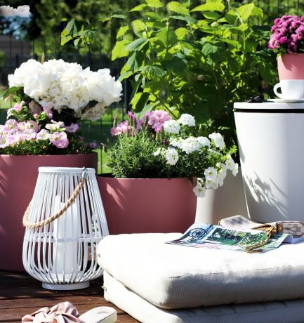 Ein Blumenmeer in Rosé-Tönen