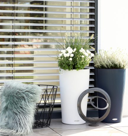 Neuer Flair im Gartenbereich | Coconut- und Blueberry Nuancen