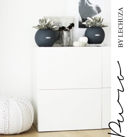 Herbstzeit ist Kürbiszeit | 3 DIY-Varianten