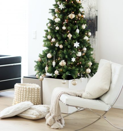 Vorweihnachtliche Stimmung ist eingezogen