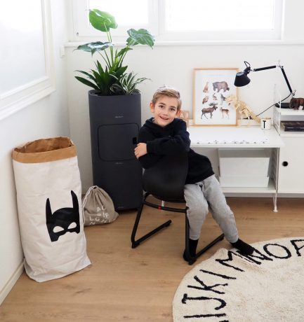 Die neue 2 in 1 Pila Serie | Tom’s Schreibtisch neu gestylt