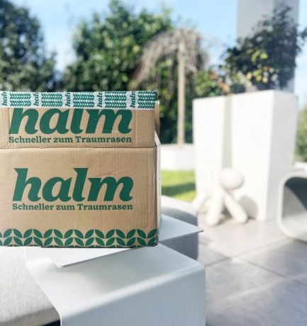 Frühjahrs-Rasenpflege: So wird dein Garten wieder sattgrün (und bleibt es auch)