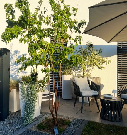 Gartendesign mit Bäumen – natürliche Eleganz und stilvoller Sonnenschutz